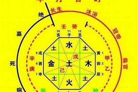 宸喜命理|八字算命器